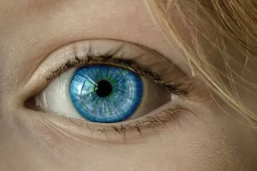 An eye