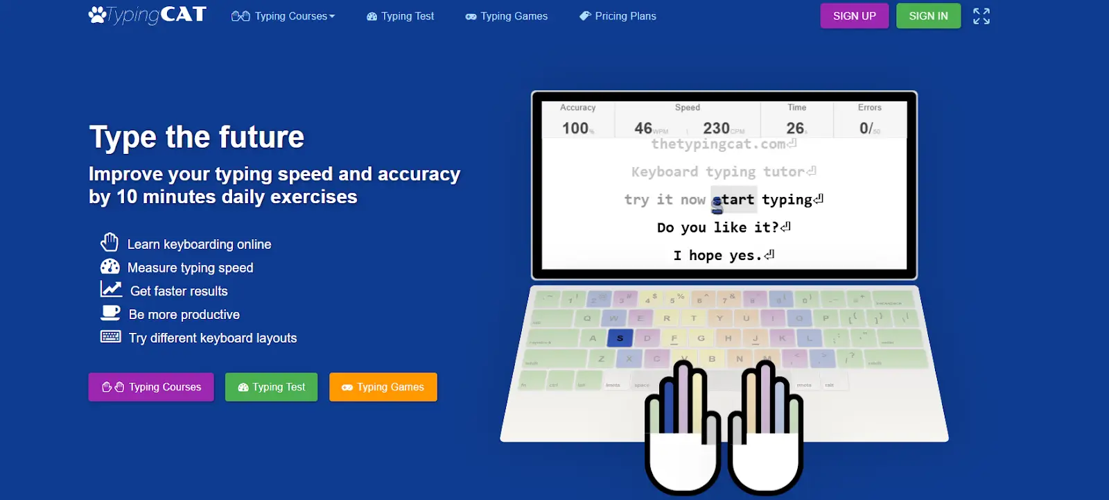 online typing-typing cat