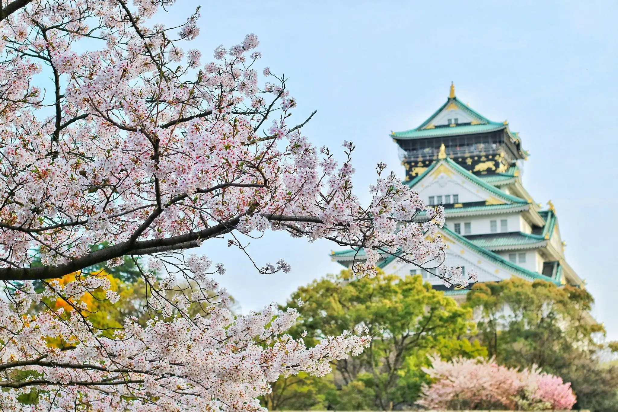 Street Food & Theme Parks